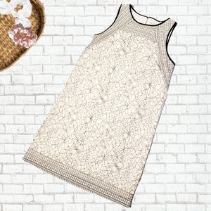 Loft Lace Sheath Dress